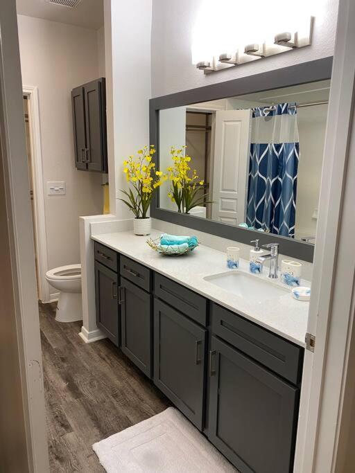 Your Warm Spacious Unit With Pool - Medical Center Houston Ngoại thất bức ảnh